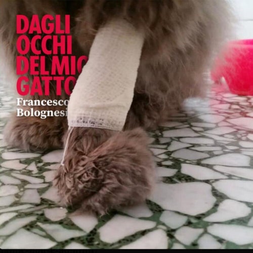 Dagli occhi del mio gatto