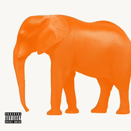 Release of the week