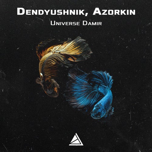 Universe Damir