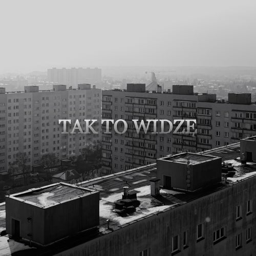 Tak to widzę