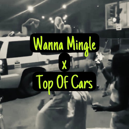 Wanna Mingle x Top Of Cars