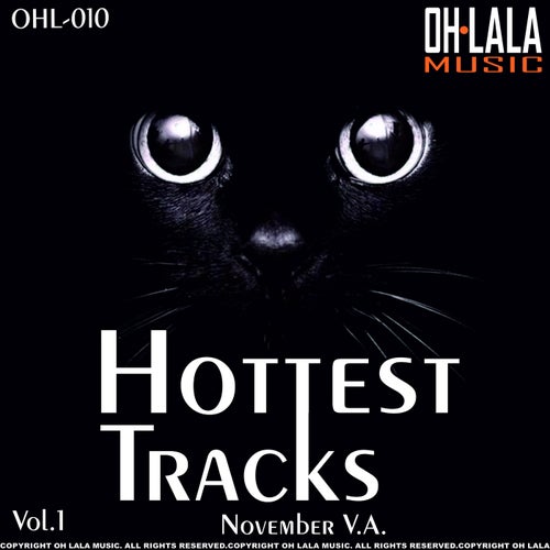 Hottest Tracks November, Vol. 1