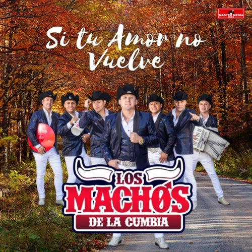 Si Tu Amor No Vuelve