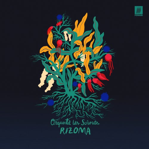 Rizoma