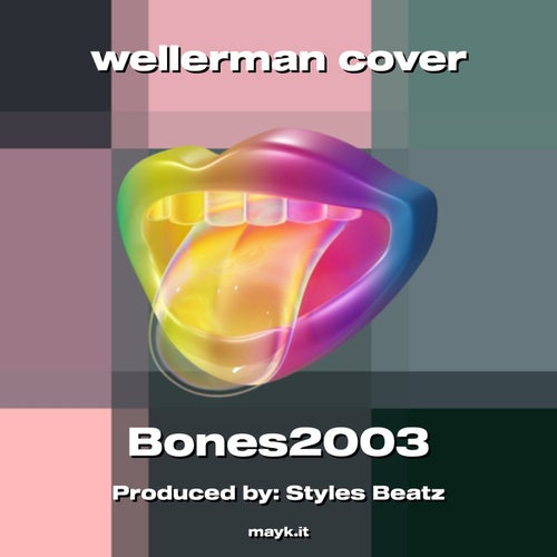 wellerman cover