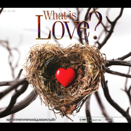 What is Love?