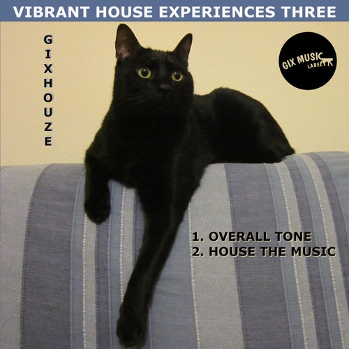 Vibrant House Experiences Three