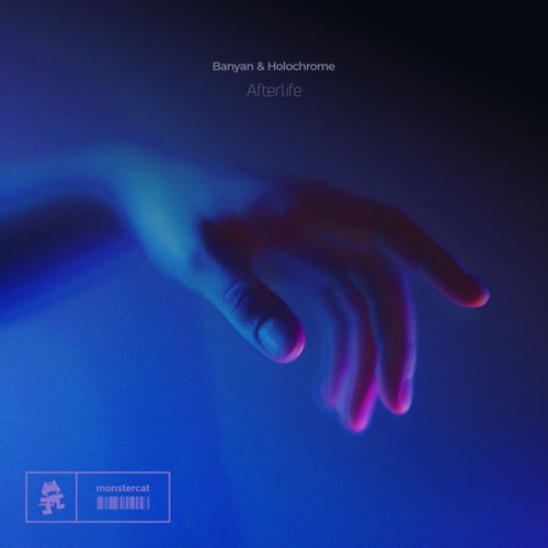 Afterlife