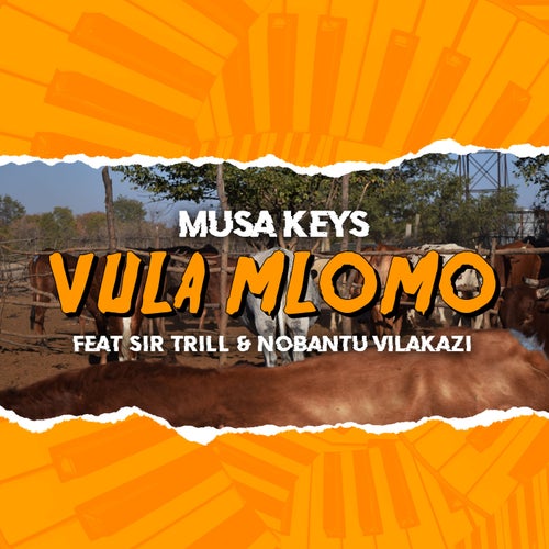 Vula Mlomo (Single)