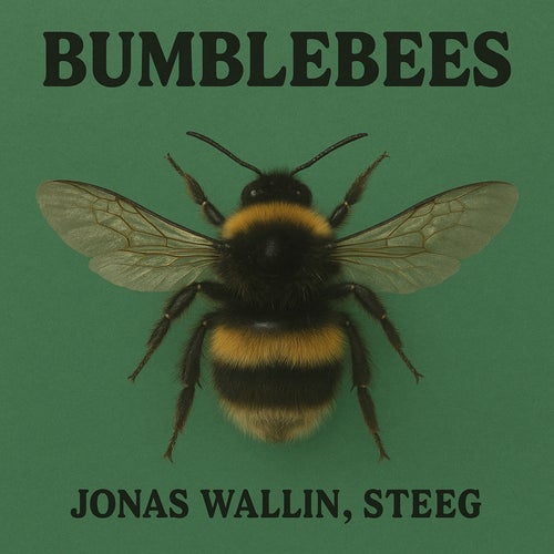 Bumblebees