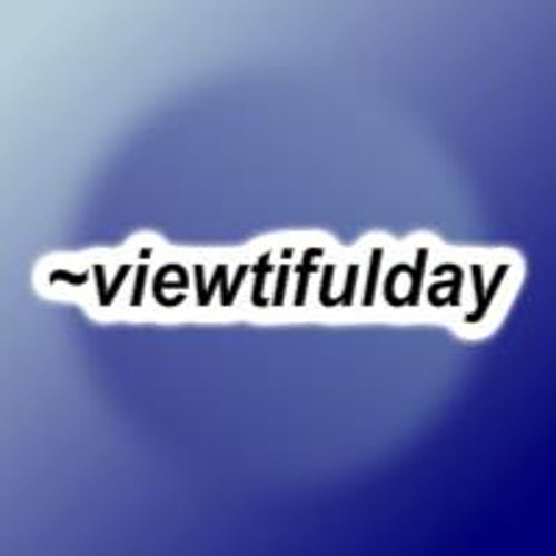 viewtifulday Profile