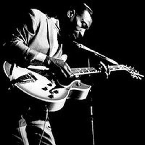 T-Bone Walker Profile