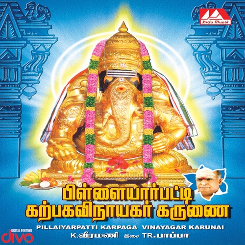 Pillayaarpatti Karpaga Vinayagar Karunai