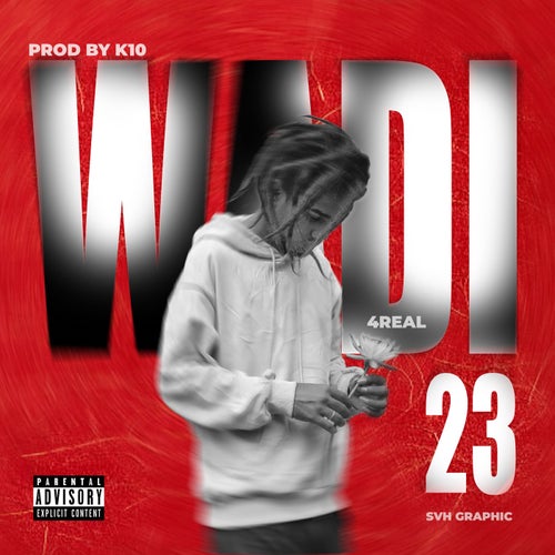 Wadi 23