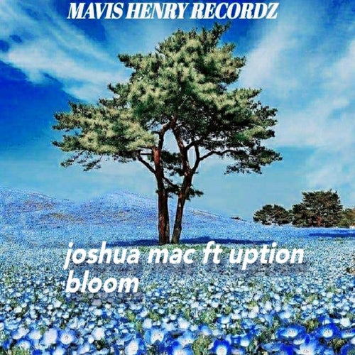 Bloom