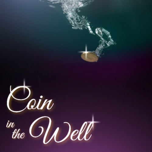 Coin in the Well