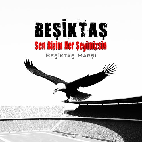 Beşiktaş Sen Bizim Her Şeyimizsin (Beşiktaş Marşı)