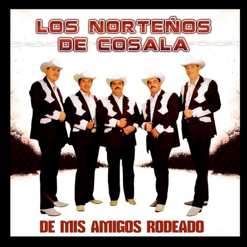 De Mis Amigos Rodeado