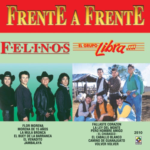 Frente A Frente by Los Felinos and El Grupo Libra on Beatsource