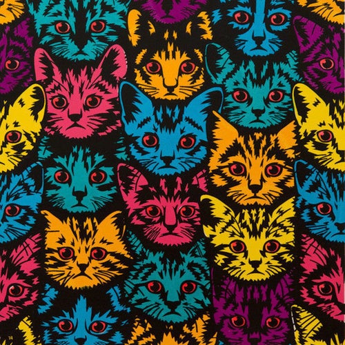 Picatso