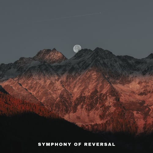 Symphony of Reversal