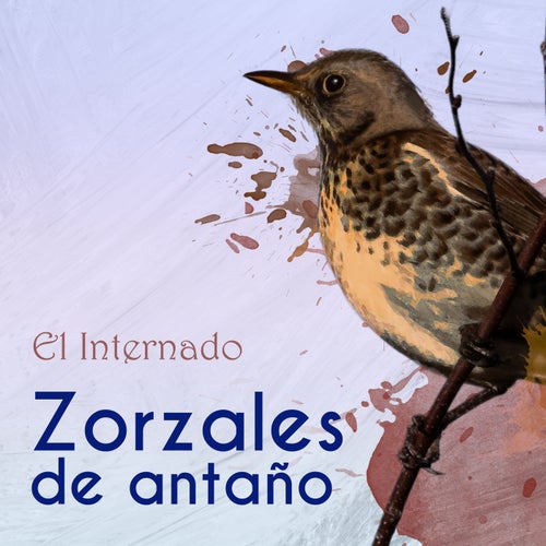 Zorzales de Antaño…El Internado