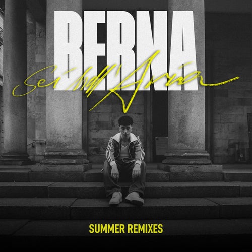 SEI NELL'ARIA (Summer remixes)