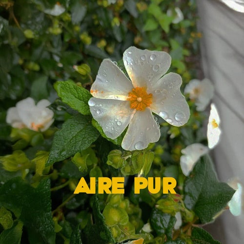 Aire Pur