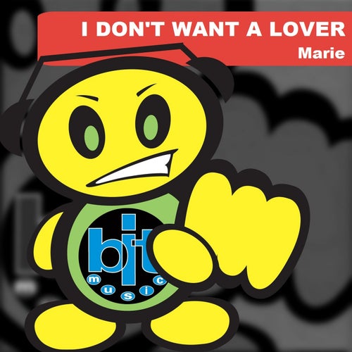 I Don't Want a Lover
