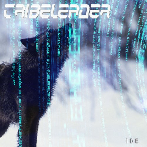 Ice