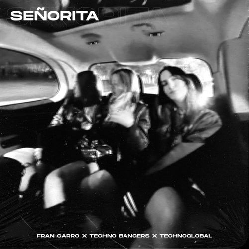 Señorita (Techno Version)