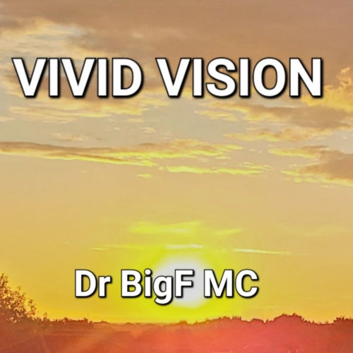 Vivid Vision