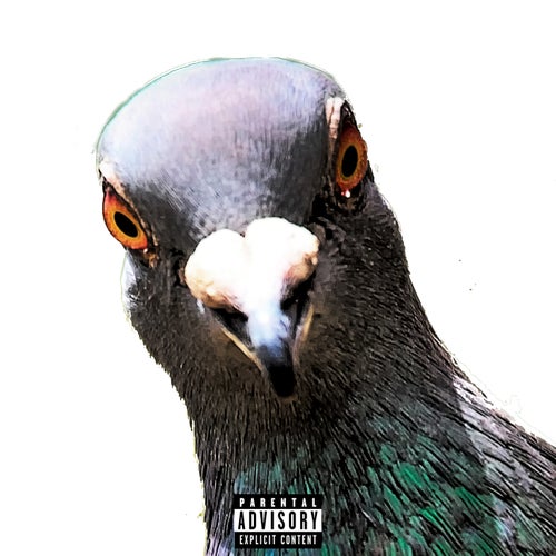 Release of the week