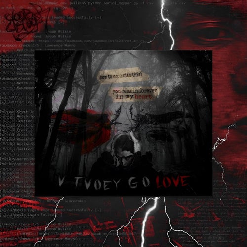V TVOEY GO LOVE