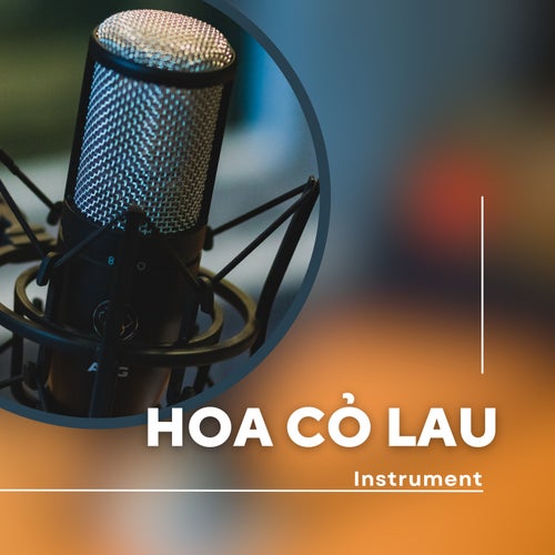 Hoa Cỏ Lau