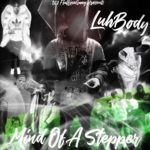 Mind Of A Stepper