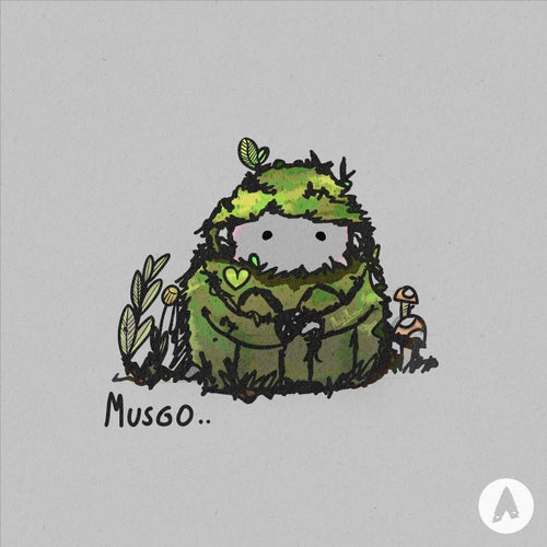Musgo