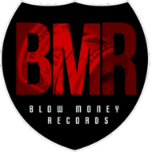 Blow Money Records / The Artist Records Profile