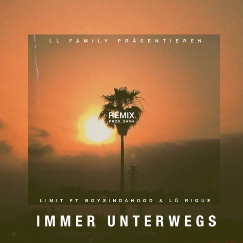 Immer unterwegs (feat. Boysindahood ,Lu Rique) [Remix]