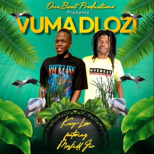 Vuma Dlozi (feat. Moskidd Jnr)