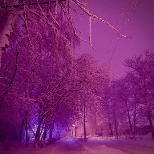 snow in my mind