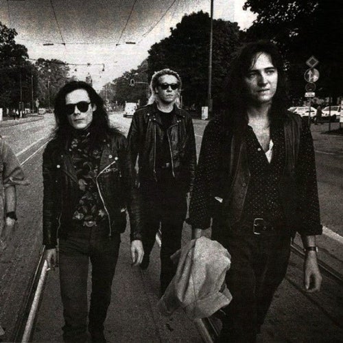 The Sisters of Mercy Profile