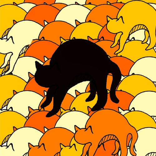 Black Cat