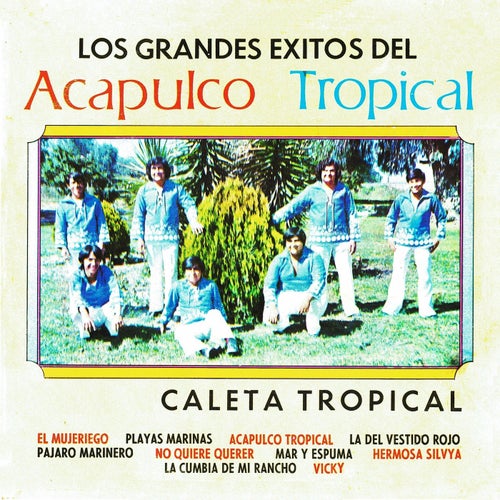 Los grandes exitos del Acapulco tropical