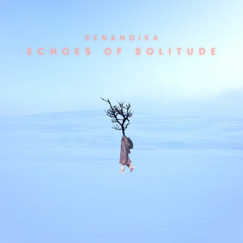 Echoes Of Solitude