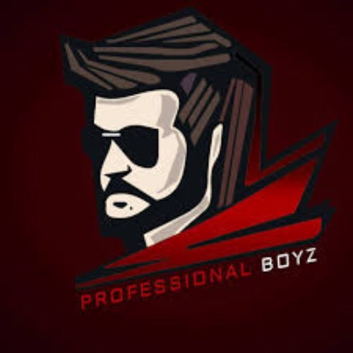Professional Boyz / Mulah Gang Profile