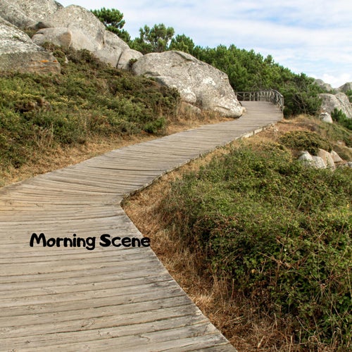 Morning Scene