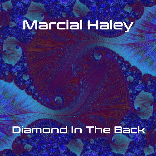Diamond In The Back