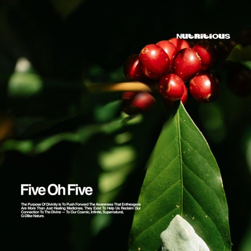 Five Oh Five