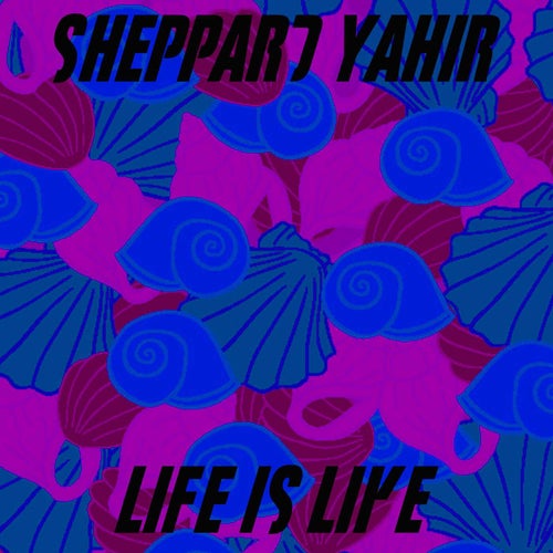Life is Like